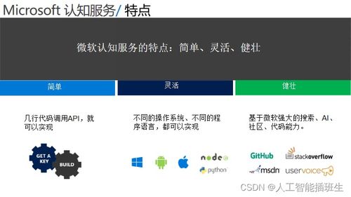 微軟人工智能應用概覽 推動智能軟件開發(fā)新紀元